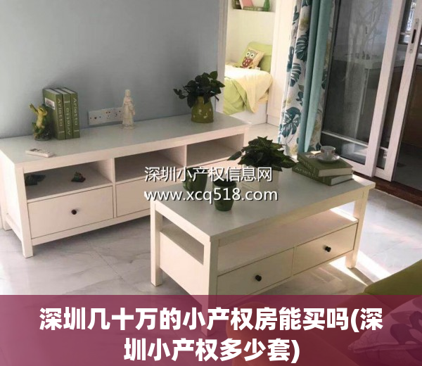 深圳几十万的小产权房能买吗(深圳小产权多少套)