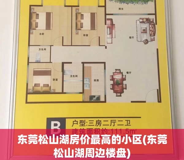 东莞松山湖房价最高的小区(东莞松山湖周边楼盘)