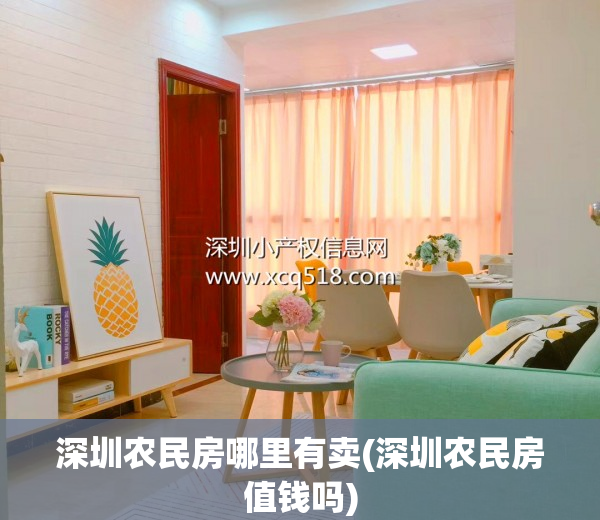 深圳农民房哪里有卖(深圳农民房值钱吗)