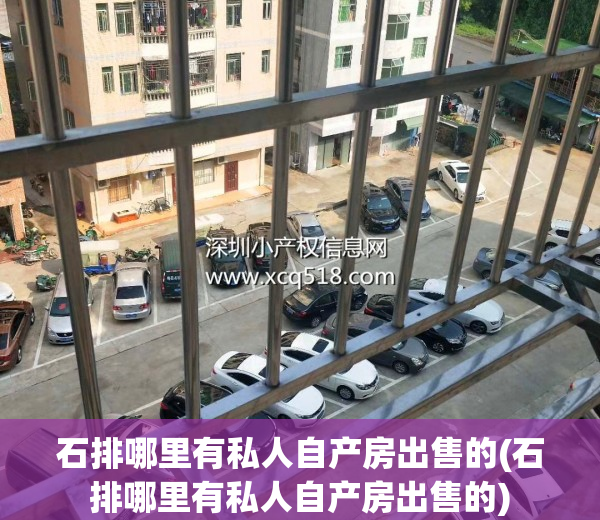 石排哪里有私人自产房出售的(石排哪里有私人自产房出售的)