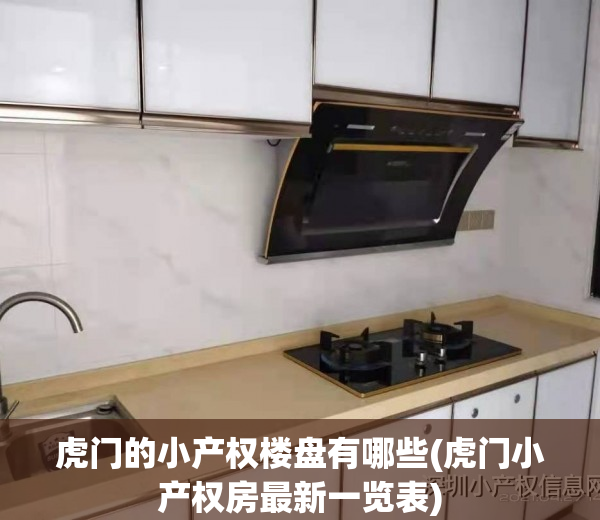 虎门的小产权楼盘有哪些(虎门小产权房最新一览表)