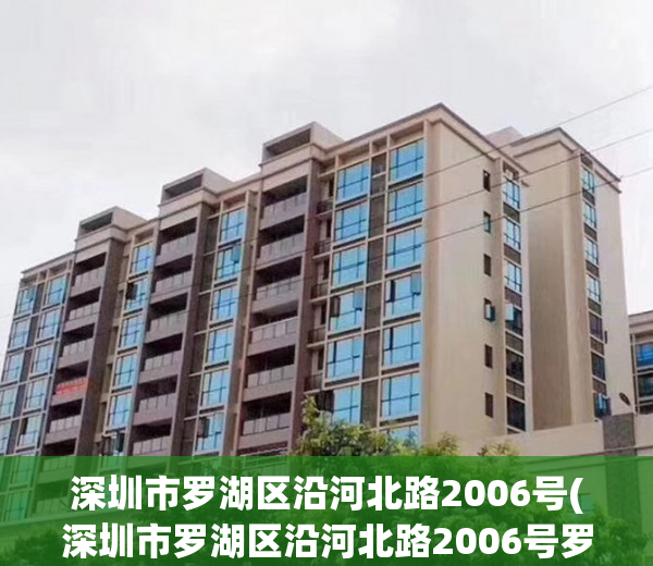 深圳市罗湖区沿河北路2006号(深圳市罗湖区沿河北路2006号罗湖司法大厦)