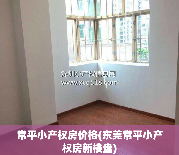 常平小产权房价格(东莞常平小产权房新楼盘)