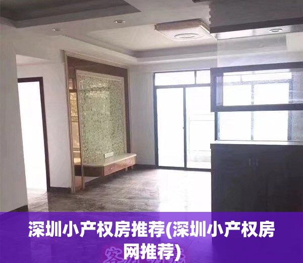 深圳小产权房推荐(深圳小产权房网推荐)