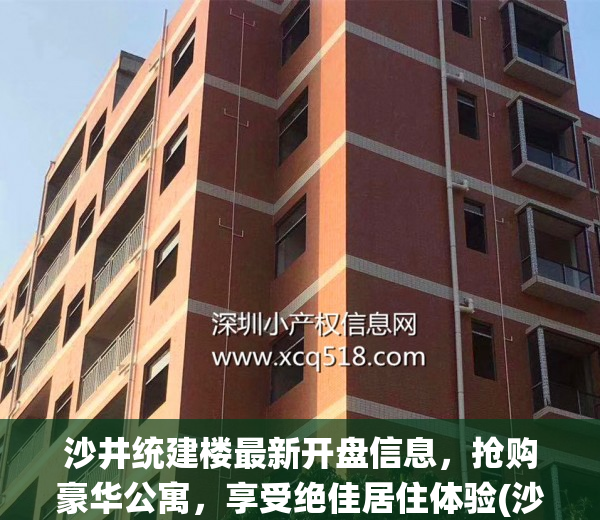 沙井统建楼最新开盘信息，抢购豪华公寓，享受绝佳居住体验(沙井一手统建房出售)