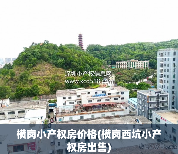 横岗小产权房价格(横岗西坑小产权房出售)