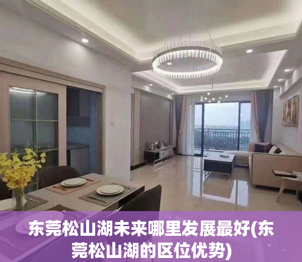 东莞松山湖未来哪里发展最好(东莞松山湖的区位优势)