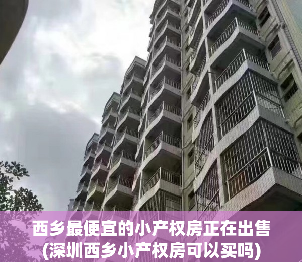 西乡最便宜的小产权房正在出售(深圳西乡小产权房可以买吗)