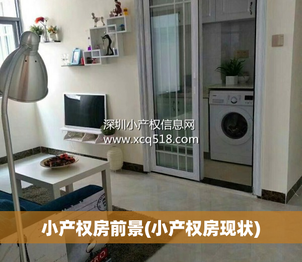 小产权房前景(小产权房现状)