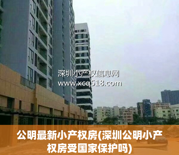 公明最新小产权房(深圳公明小产权房受国家保护吗)