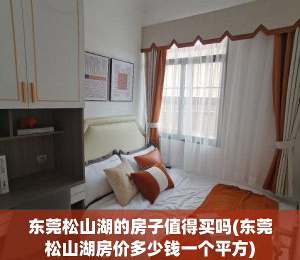 东莞松山湖的房子值得买吗(东莞松山湖房价多少钱一个平方)