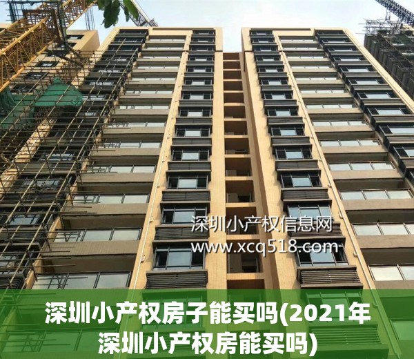 深圳小产权房子能买吗(2021年深圳小产权房能买吗)