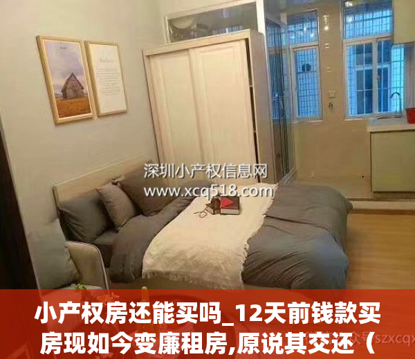 小产权房还能买吗_12天前钱款买房现如今变廉租房,原说其交还（买完小产权房就后悔了）