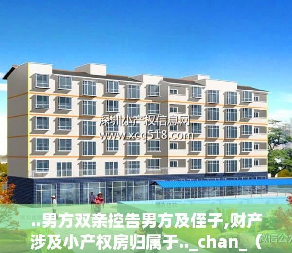 ..男方双亲控告男方及侄子,财产涉及小产权房归属于.._chan_（夫妻共同财产在男方的父亲名下）