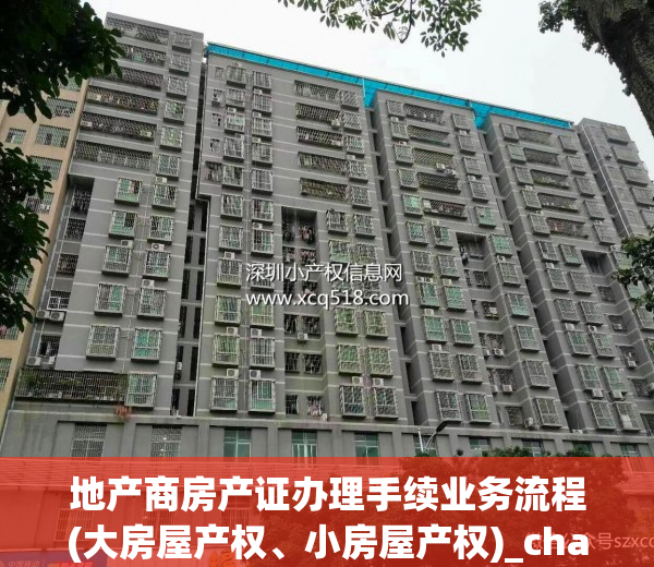 地产商房产证办理手续业务流程(大房屋产权、小房屋产权)_chan_（开发商办理房产证手续）
