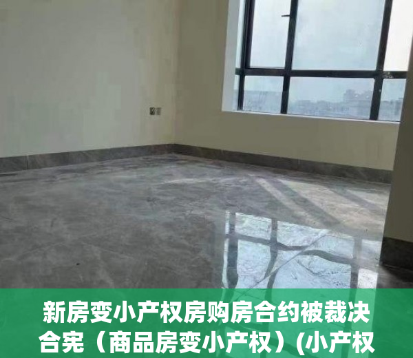 新房变小产权房购房合约被裁决合宪（商品房变小产权）(小产权改合同的房子可以买吗)