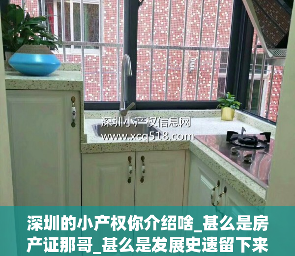 深圳的小产权你介绍啥_甚么是房产证那哥_甚么是发展史遗留下来_(深圳历史遗留的小产权房产权归属)