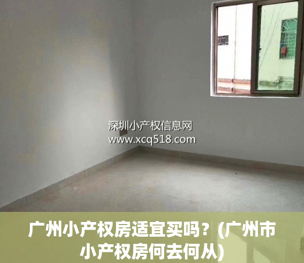 广州小产权房适宜买吗？(广州市小产权房何去何从)