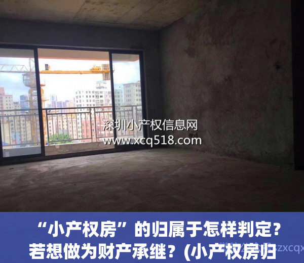 “小产权房”的归属于怎样判定？若想做为财产承继？(小产权房归谁所有)