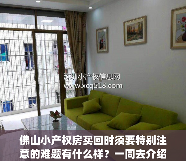 佛山小产权房买回时须要特别注意的难题有什么样？一同去介绍(佛山哪里有小产权房卖)