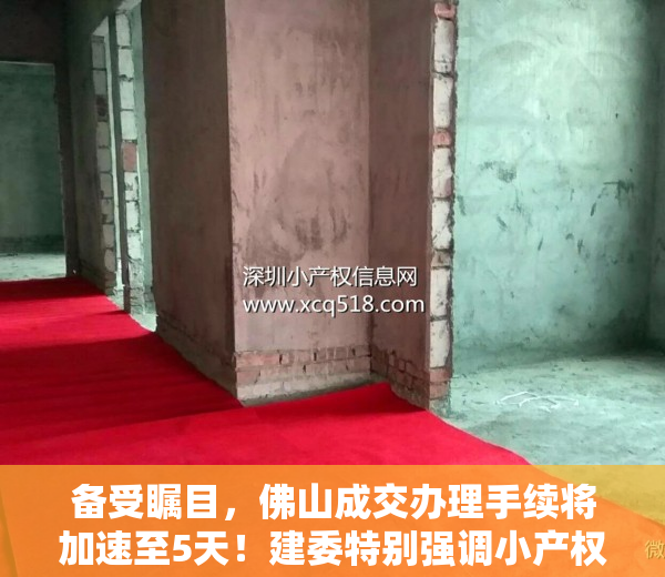 备受瞩目，佛山成交办理手续将加速至5天！建委特别强调小产权房未予办理手续