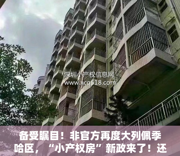 备受瞩目！非官方再度大列佩季哈区，“小产权房”新政来了！还能买吗？