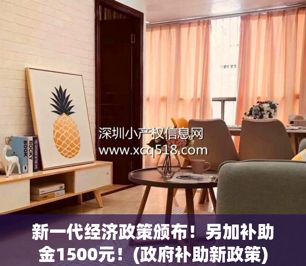 新一代经济政策颁布！另加补助金1500元！(政府补助新政策)