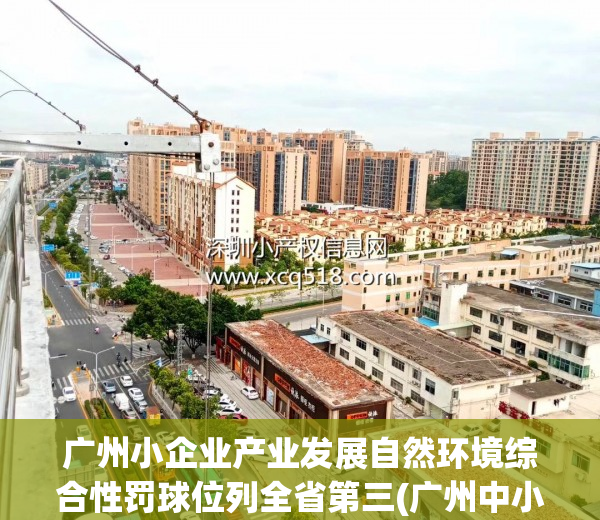 广州小企业产业发展自然环境综合性罚球位列全省第三(广州中小型企业)