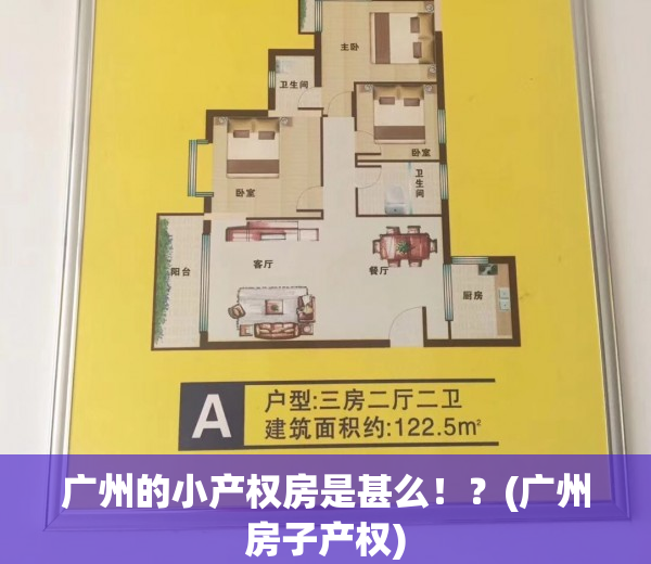 广州的小产权房是甚么！？(广州房子产权)