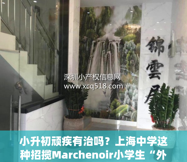 小升初顽疾有治吗？上海中学这种招揽Marchenoir小学生“外流”(上海小学初中高中升学政策)