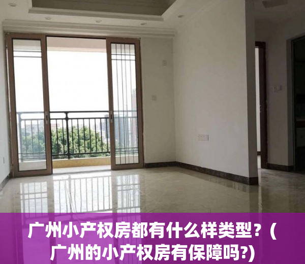 广州小产权房都有什么样类型？(广州的小产权房有保障吗?)