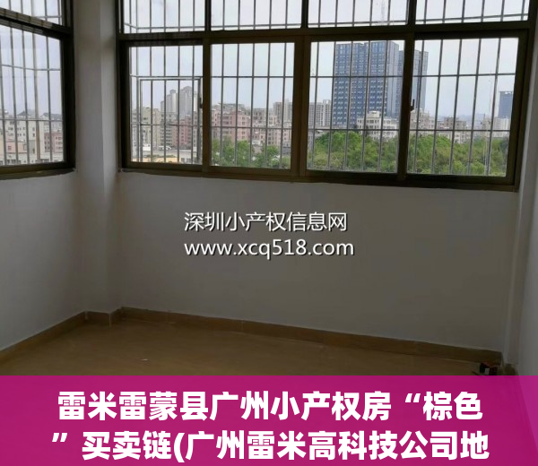 雷米雷蒙县广州小产权房“棕色”买卖链(广州雷米高科技公司地址)