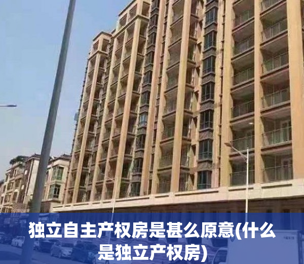 独立自主产权房是甚么原意(什么是独立产权房)