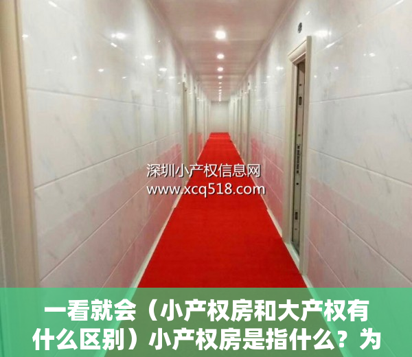 一看就会（小产权房和大产权有什么区别）小产权房是指什么？为什么叫小产权？有大产权吗？，小产权房和大产权房有何区别，