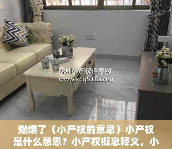 燃爆了（小产权的意思）小产权是什么意思？小产权概念释义，小产权啥意思?，