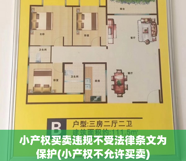 小产权买卖违规不受法律条文为保护(小产权不允许买卖)