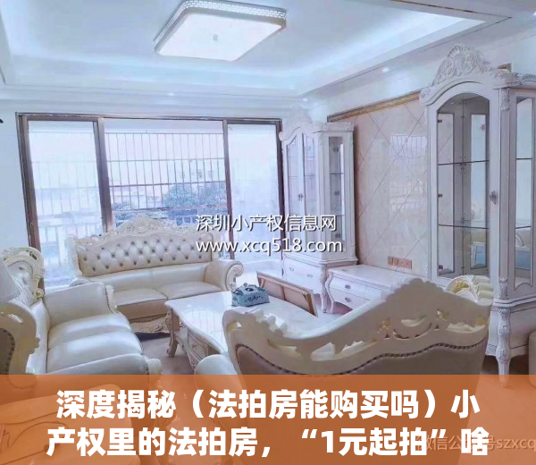 深度揭秘（法拍房能购买吗）小产权里的法拍房，“1元起拍”啥情况？没那么容易捡到“便宜”，法拍房购买流程，