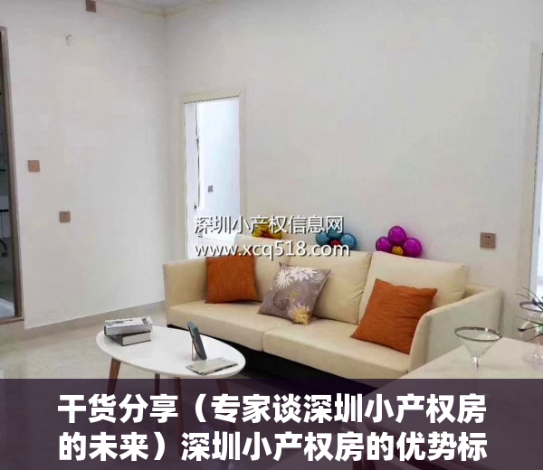 干货分享（专家谈深圳小产权房的未来）深圳小产权房的优势标准相比物所超值，深圳小产权房升值空间，