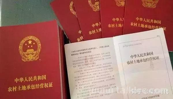 集体土地流转顺利完成后,修订本颁授填英文名字时谨记3点,一千万..._chan_