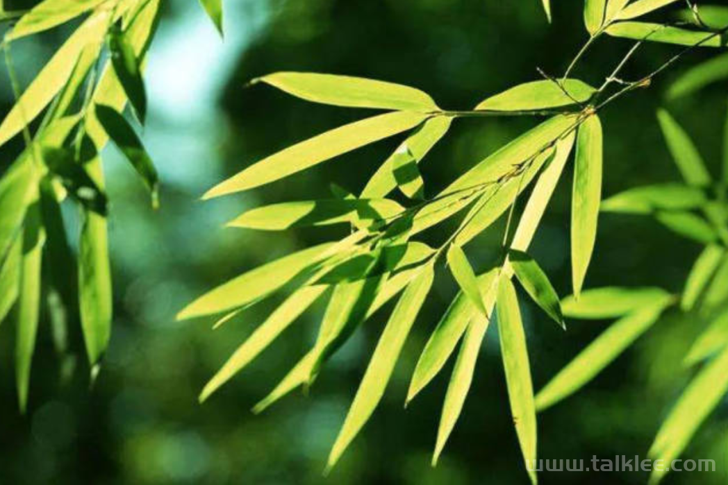 顺手只须的“奇技淫巧”能心甘情愿的占吗？